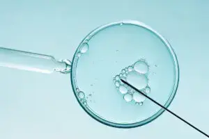 In vitro fertilisation