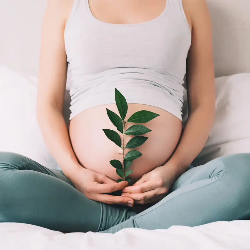 natural fertility treatment